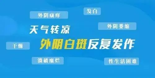 微信图片_20231116143957 微信图片_20231116143957
